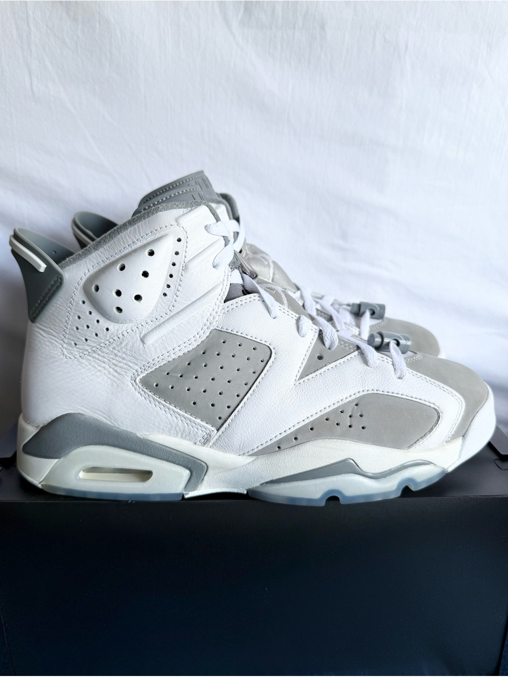 AUTHENTIC Jordan 6 Cool Grey size 9.5 CT8529-100 2023 PRE-OWNED